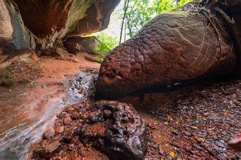 naka cave thailand|The Ultimate Guide To Naka Cave, Thailand: All You Need To Know